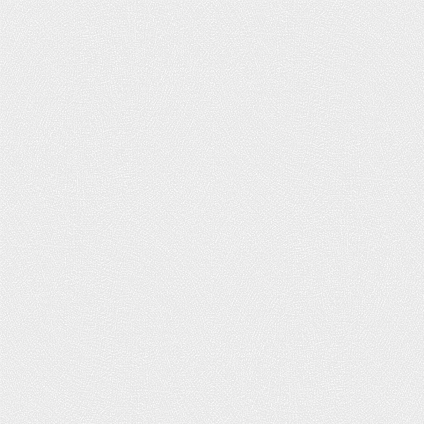 scratches2